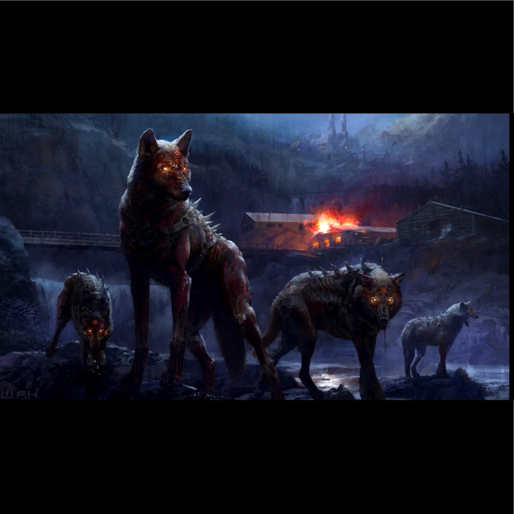 Meet your Posher, James